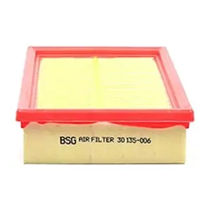 BSG BSG30135006