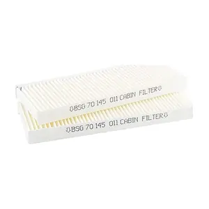 BSG 70-145-011 BSG