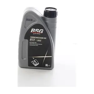 BSG 99-998-055 BSG