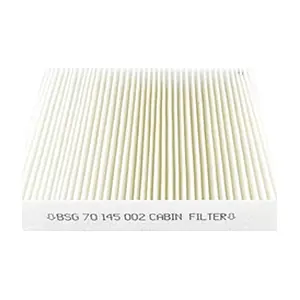 BSG BSG70145002