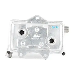 BSG 60-506-003 BSG