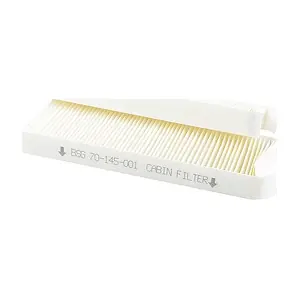 BSG 70-145-001 BSG