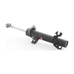 BSG 61-300-002 BSG