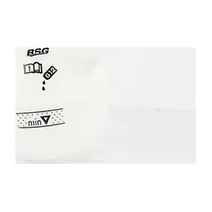 BSG 90-550-001 BSG