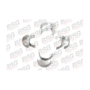 30121004 BSG