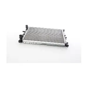BSG 25-520-010 BSG