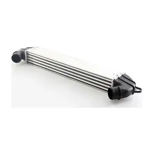 BSG 25-535-002 BSG