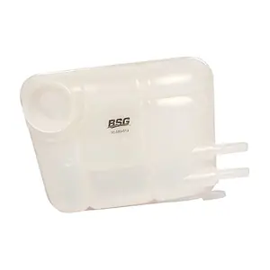 BSG 30-550-013 BSG