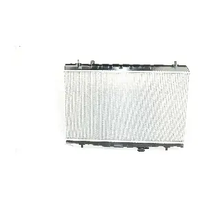 BSG 40-520-038 BSG