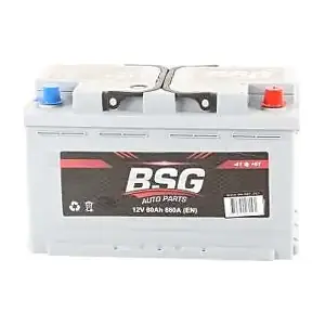 BSG BSG 99-997-021