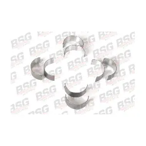 BSG 30-121-001 BSG