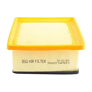 BSG BSG 70-135-001