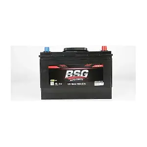 BSG 99-997-013 BSG