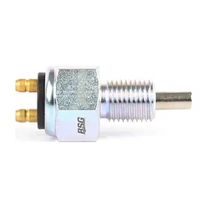 BSG 30-840-013 BSG