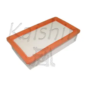 A10259 KAISHIN