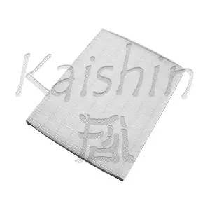 KAISHIN A20006