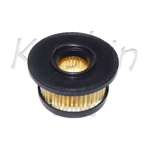 FG017 KAISHIN