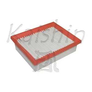 A10256 KAISHIN