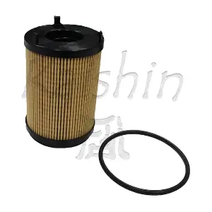 O1019 KAISHIN