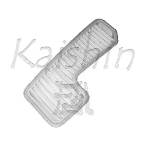 A195 KAISHIN
