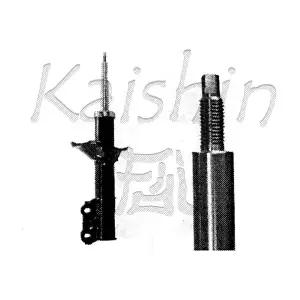 5466002100 KAISHIN