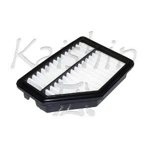 A10229 KAISHIN