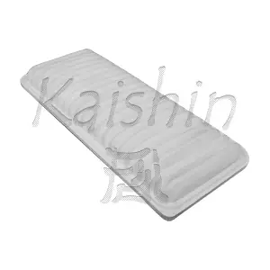A10164 KAISHIN