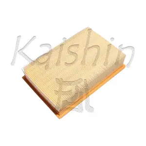 A10213 KAISHIN