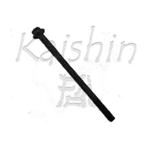 94580081 KAISHIN