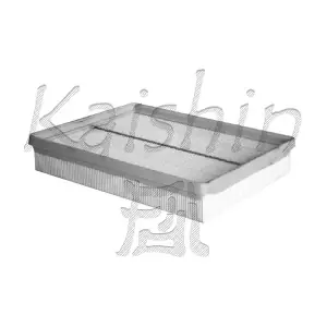 A10179 KAISHIN