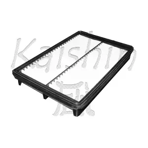A10147 KAISHIN