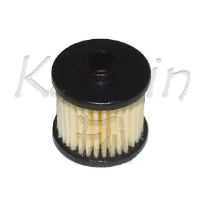 FG027 KAISHIN
