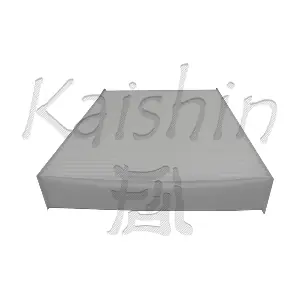 KAISHIN A20192