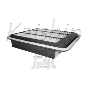 A10177 KAISHIN