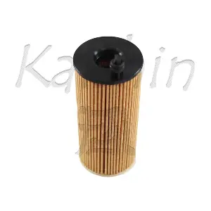 O1013 KAISHIN