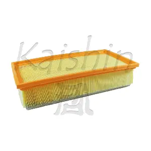 A10466 KAISHIN