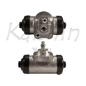WCDW006 KAISHIN