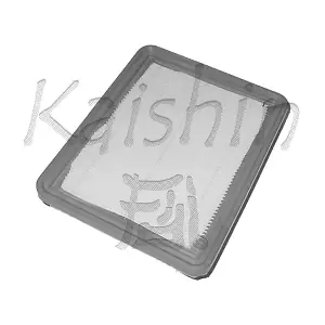 A978 KAISHIN