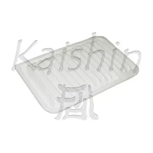 A10287 KAISHIN