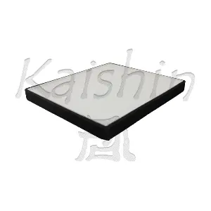 A20033 KAISHIN