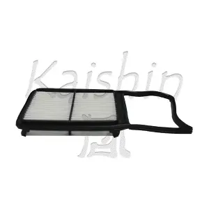 A10422 KAISHIN