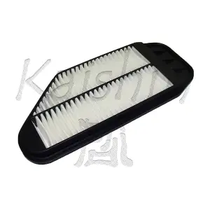 A10244 KAISHIN