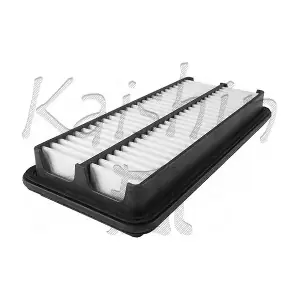 A10088 KAISHIN