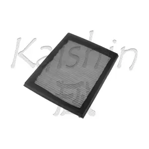 KAISHIN A10069
