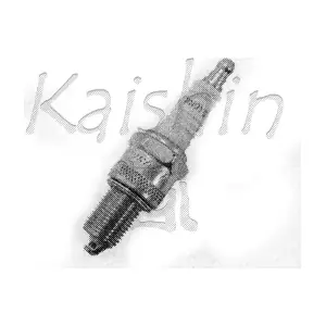 96110493 KAISHIN