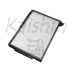 A20031 KAISHIN