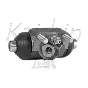KAISHIN WCLR099