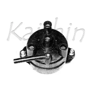 329010 KAISHIN