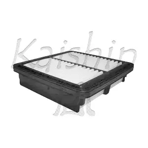 A10169 KAISHIN