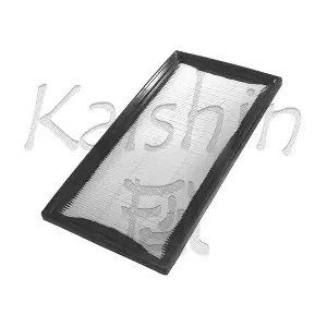 A10008 KAISHIN